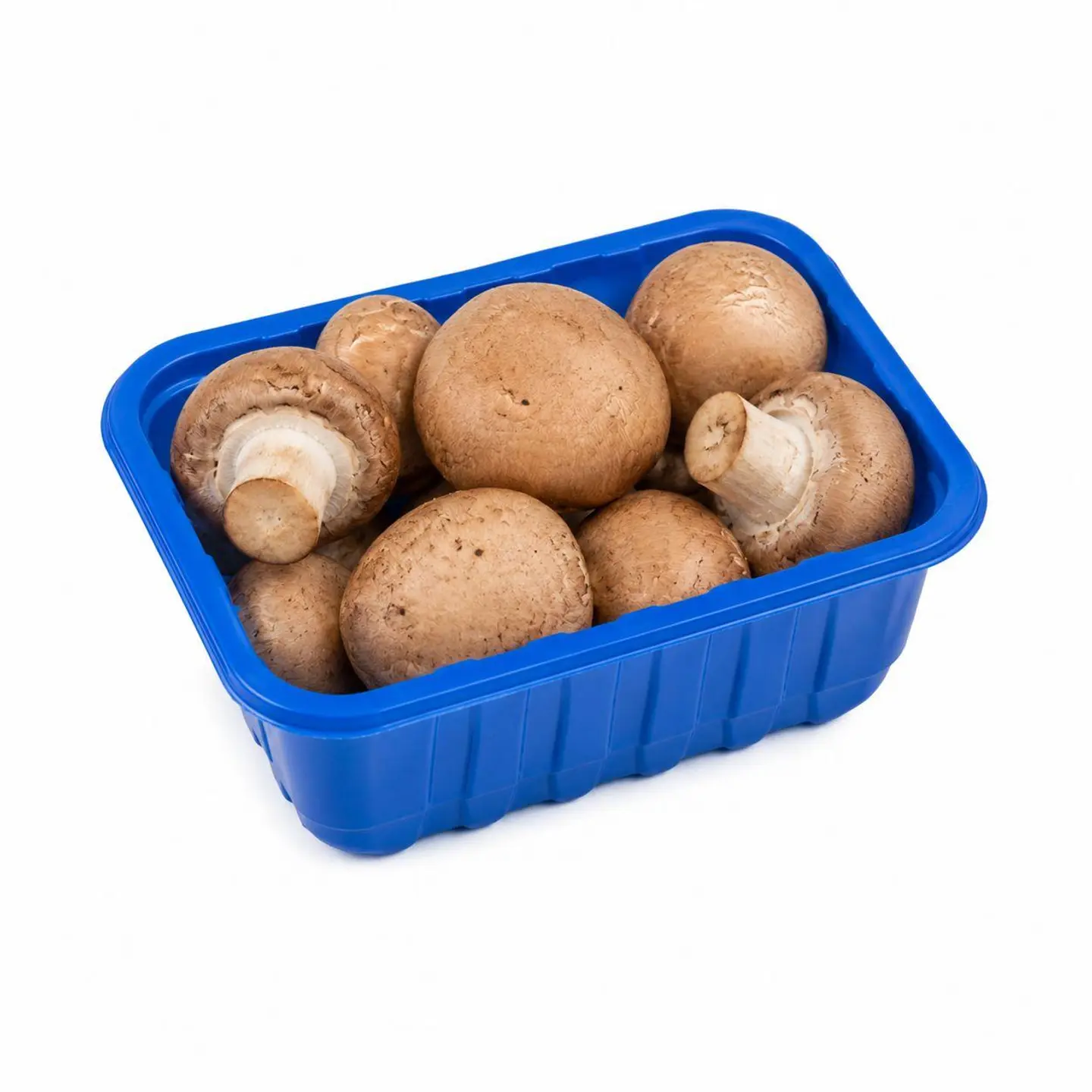 Brown Mushroom