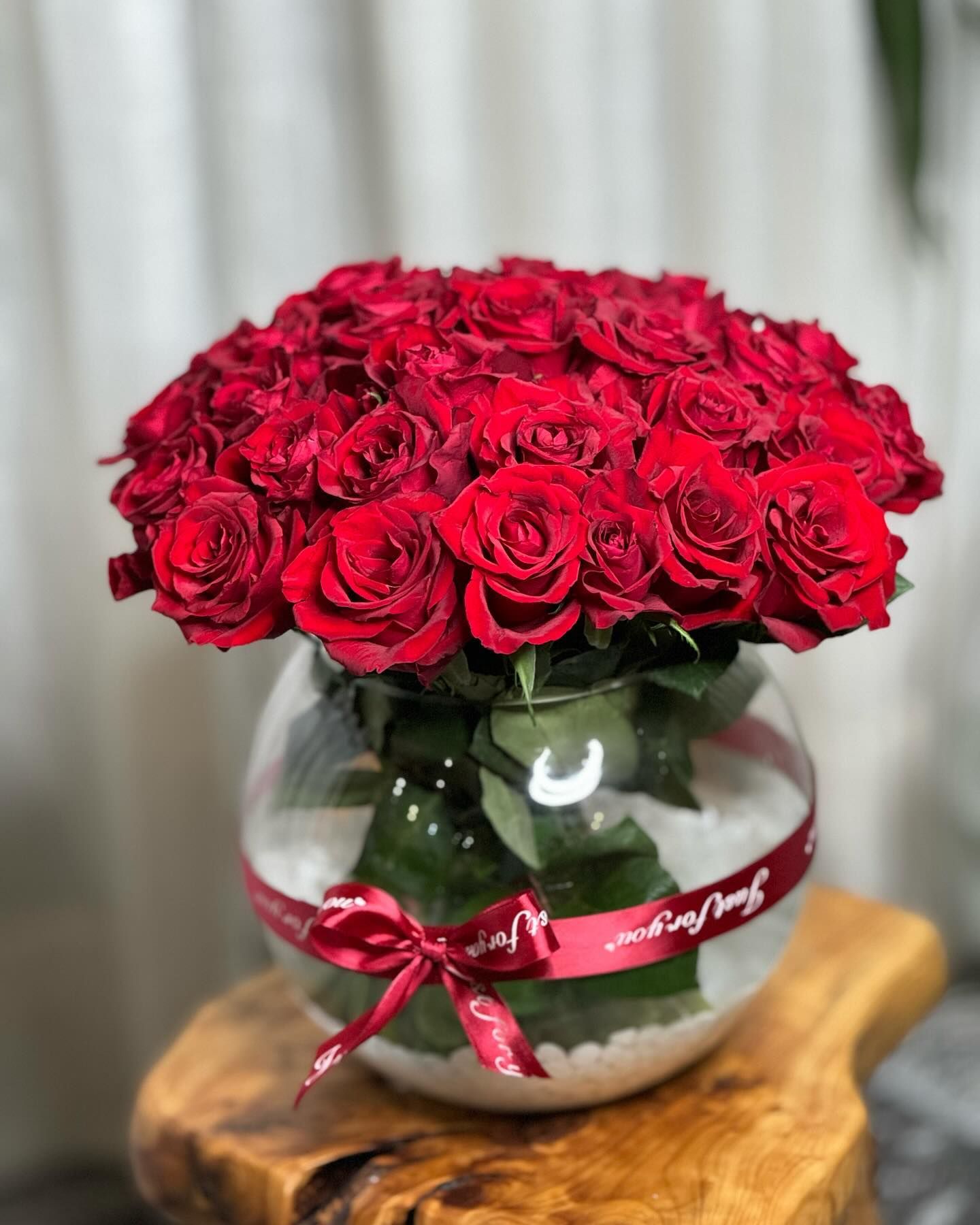الفازا الحمراء
