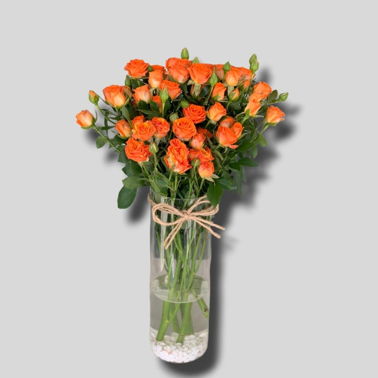 فازة الاورنج