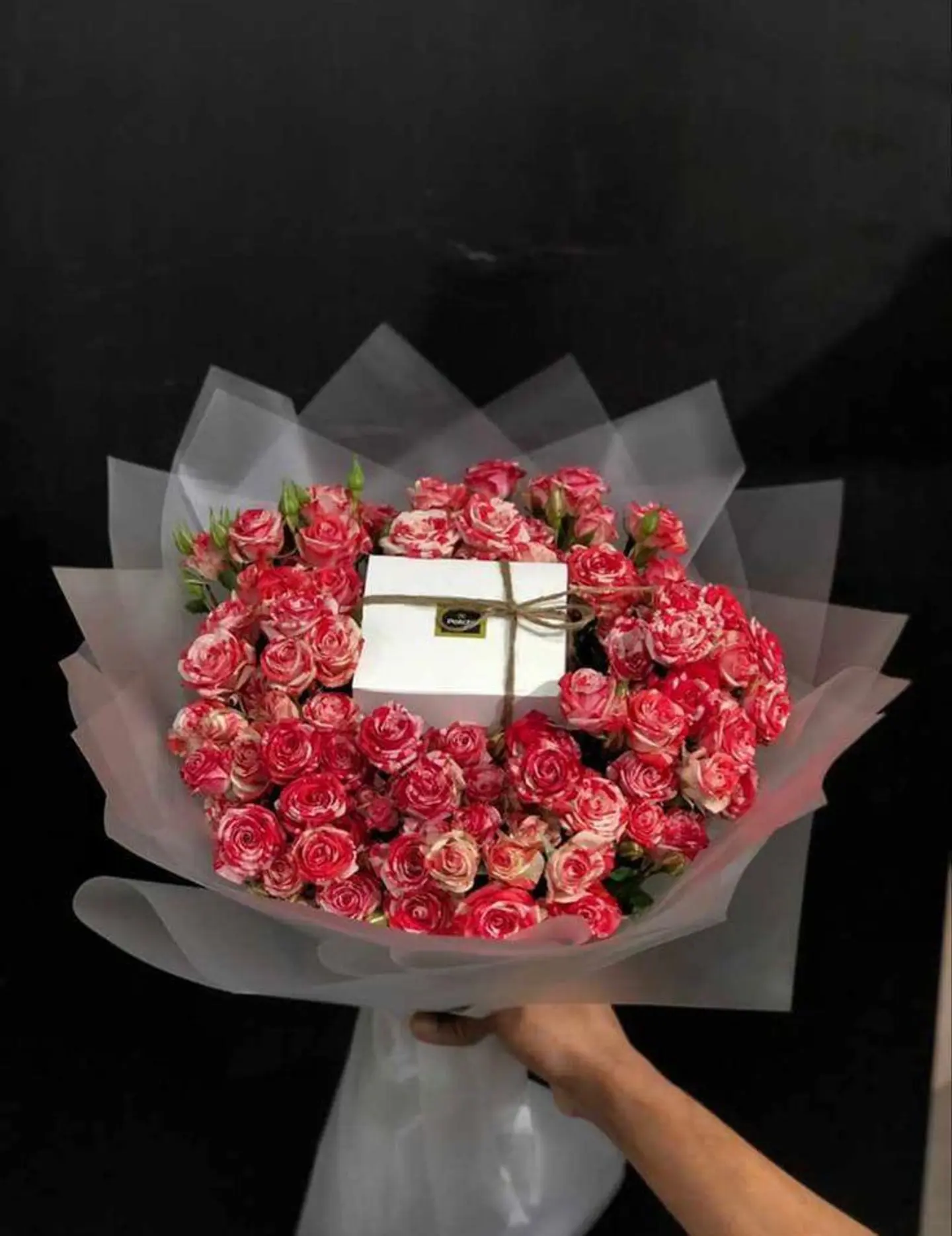 باتشي بنك دبل كلر