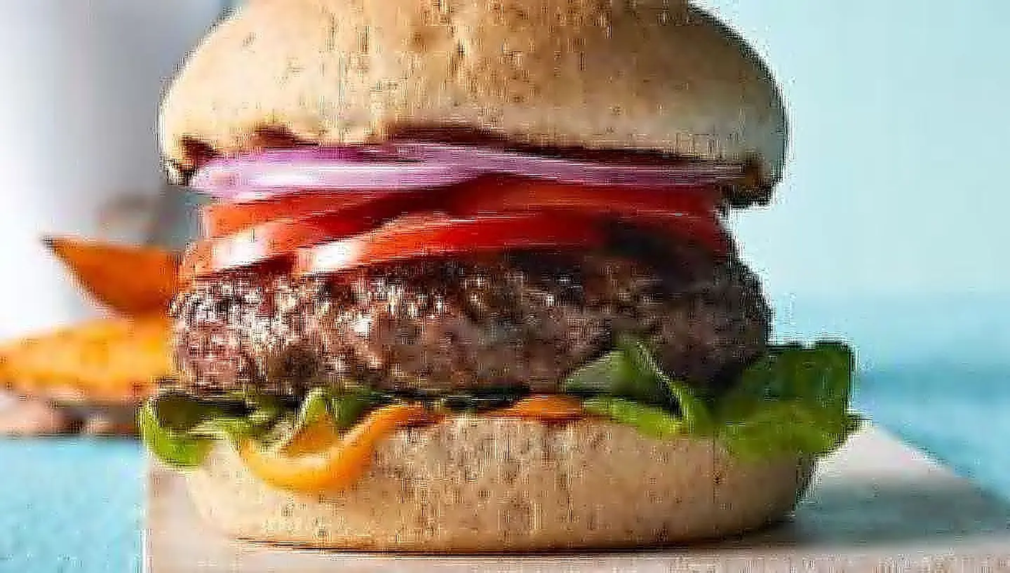 Beef Burger Without Cheese