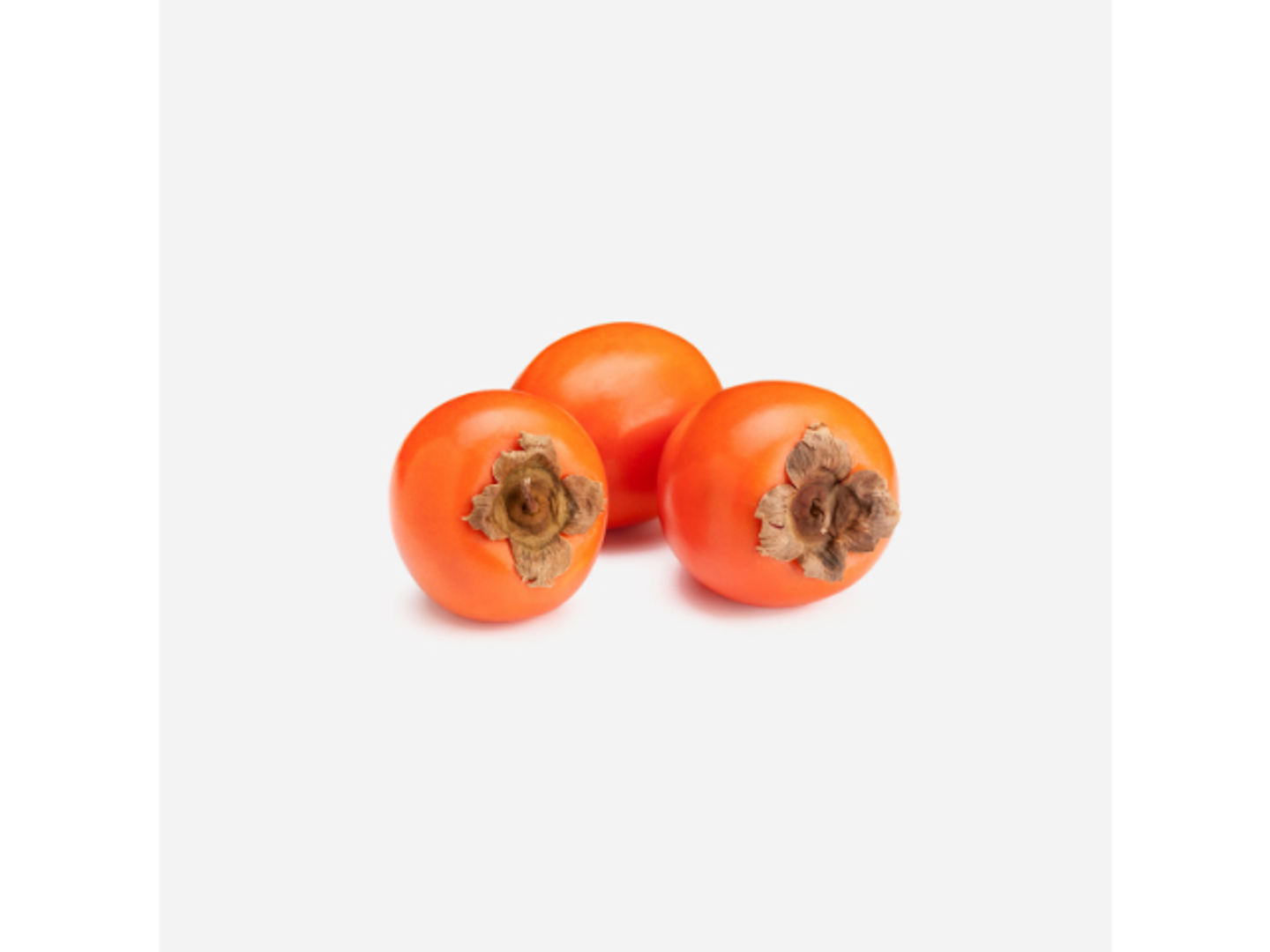 Cacao Rojo Brillante