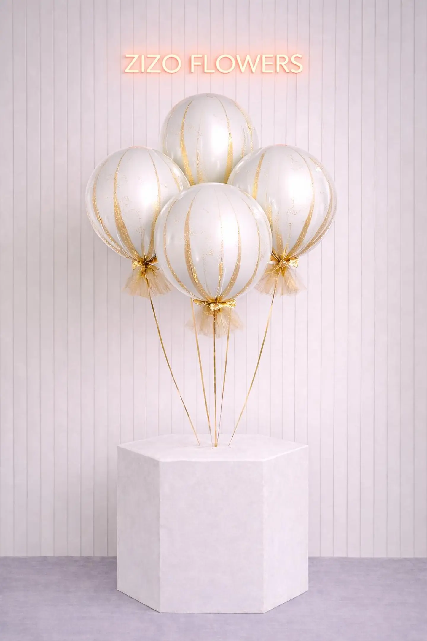 Large Balloon With A Hill