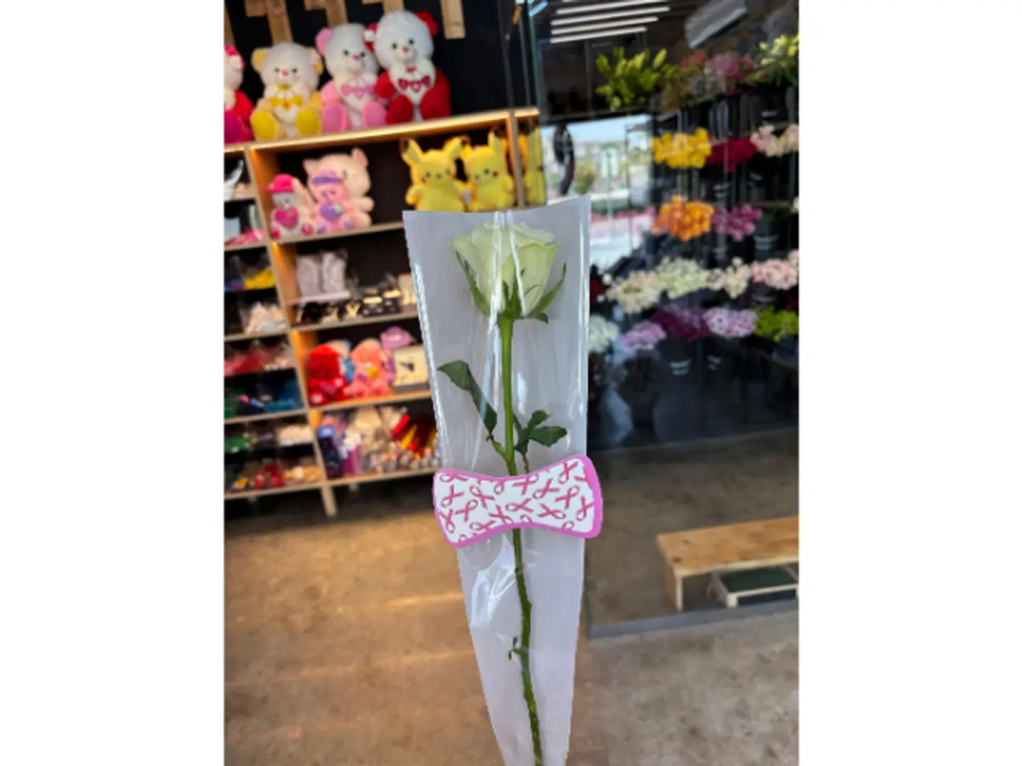 توزيعة التوعية 1