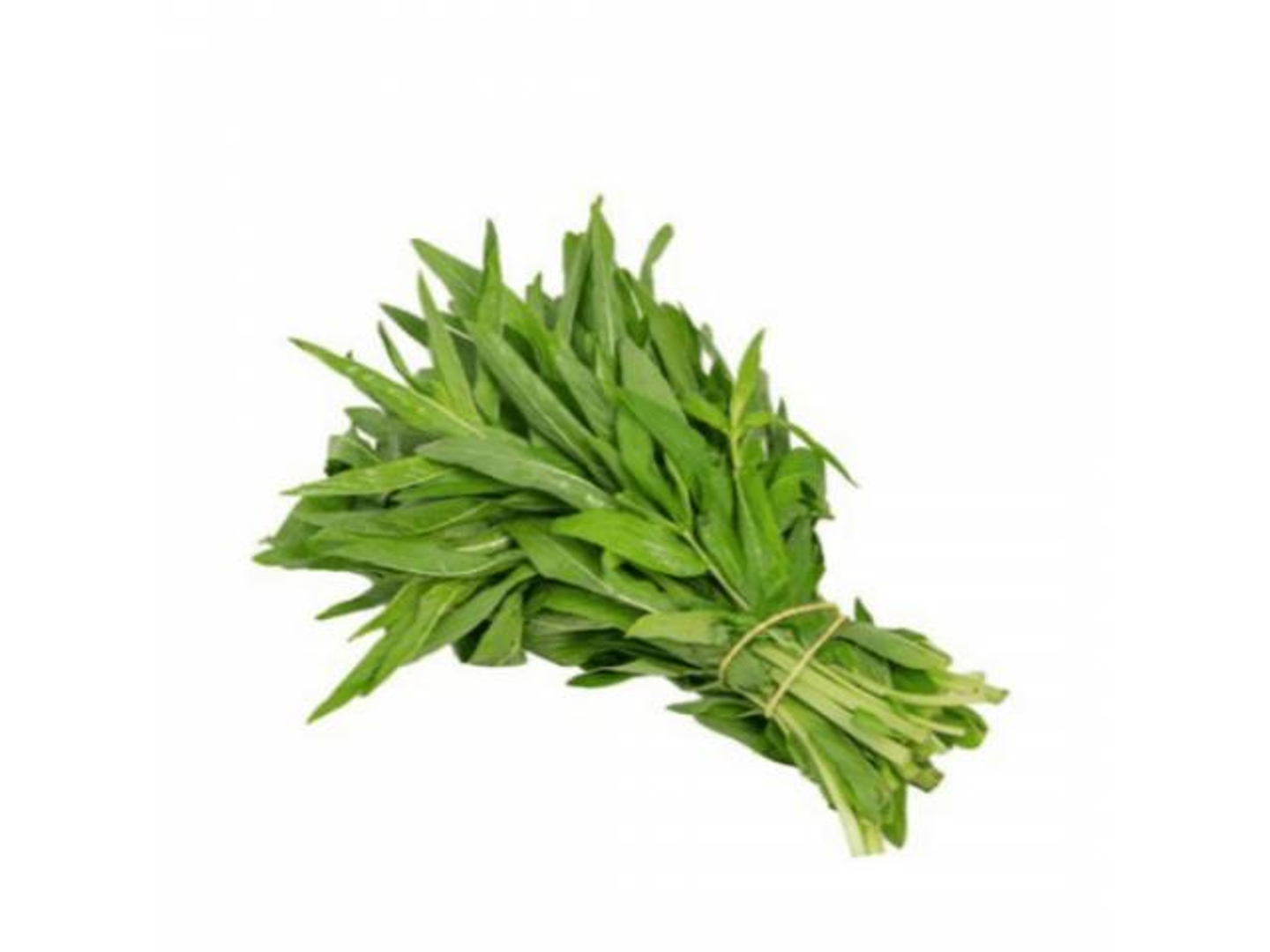 حبق