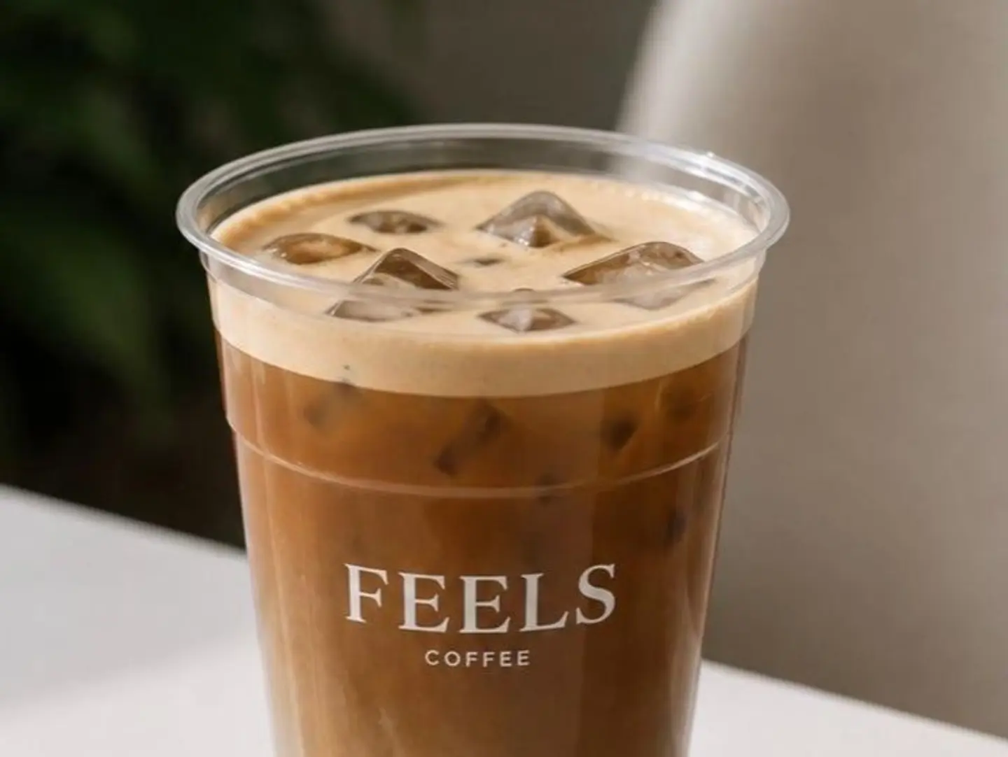 Alfredo Espresso