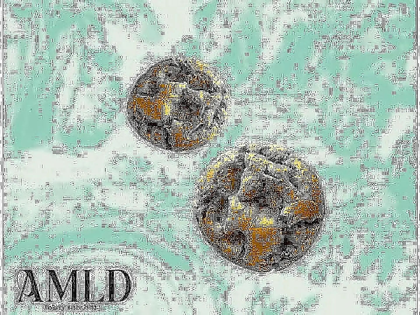 Amld Cookies