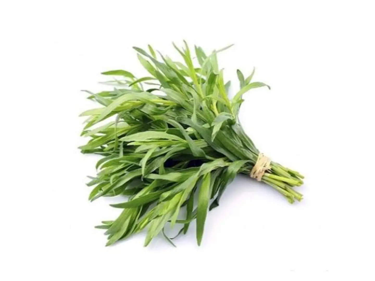 Bundle Of Basil