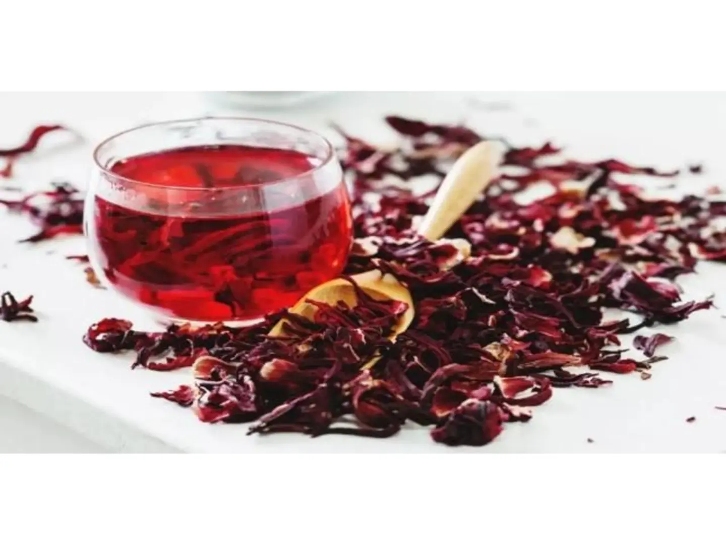 Hot Hibiscus