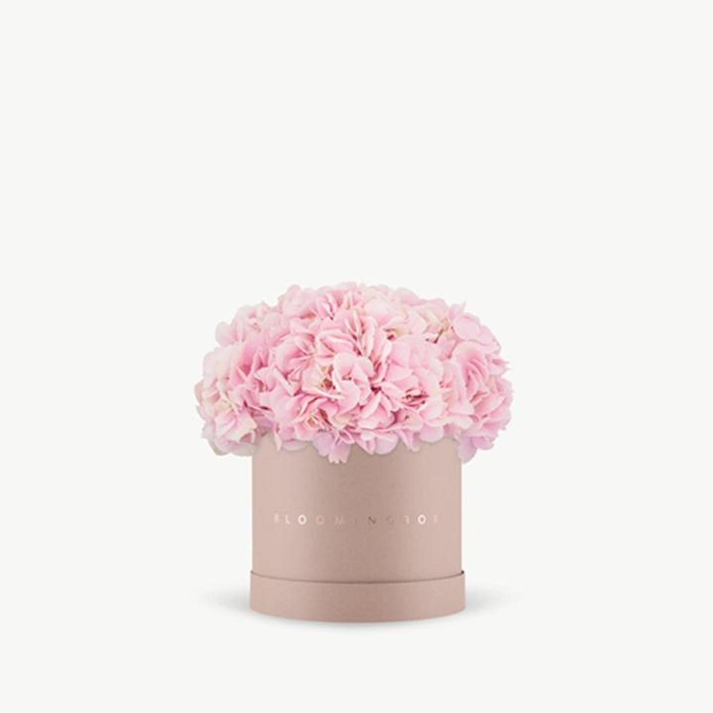 Classic Hydrangeas Box Medium