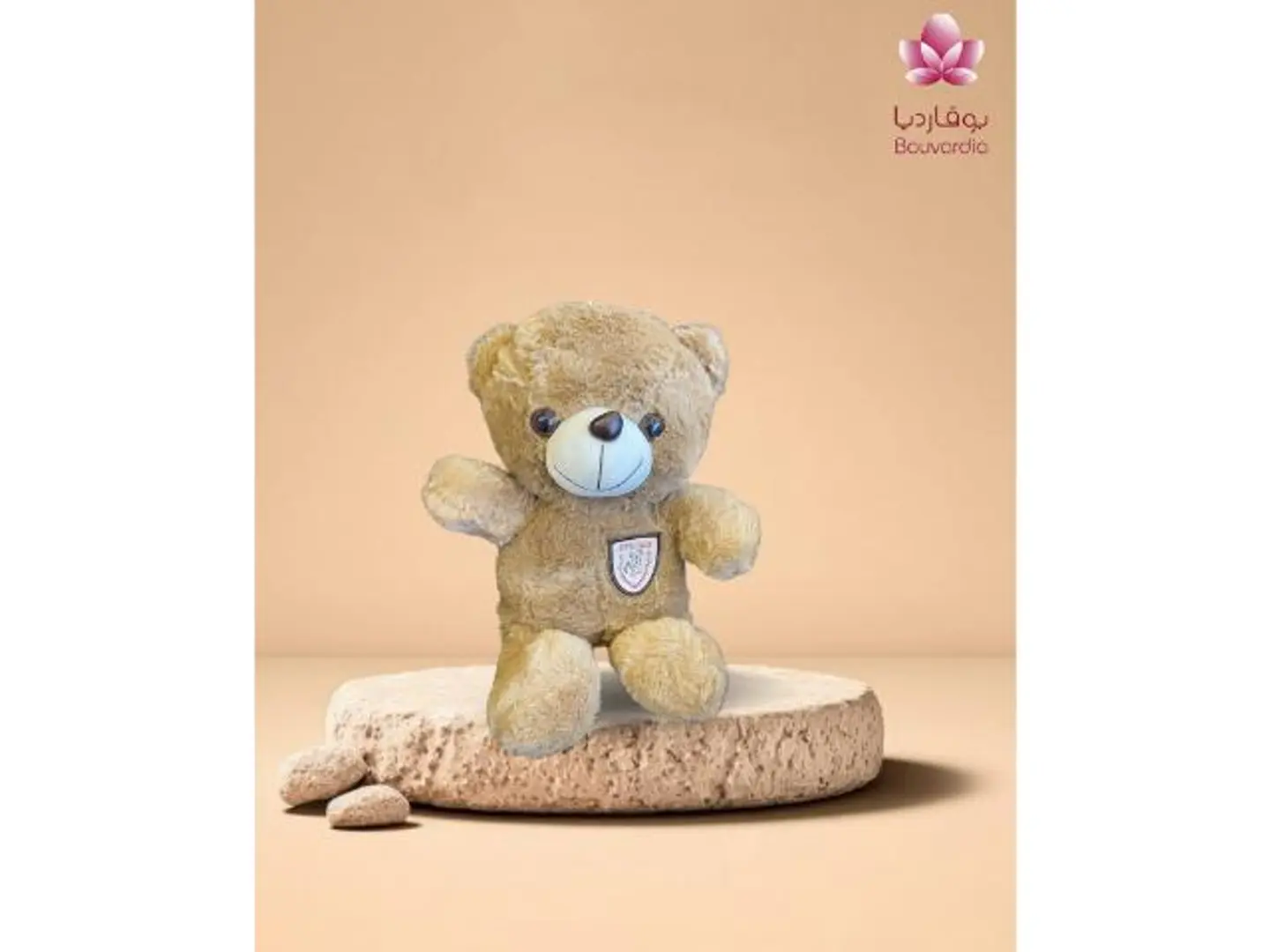 A Small Beige Teddy Bear