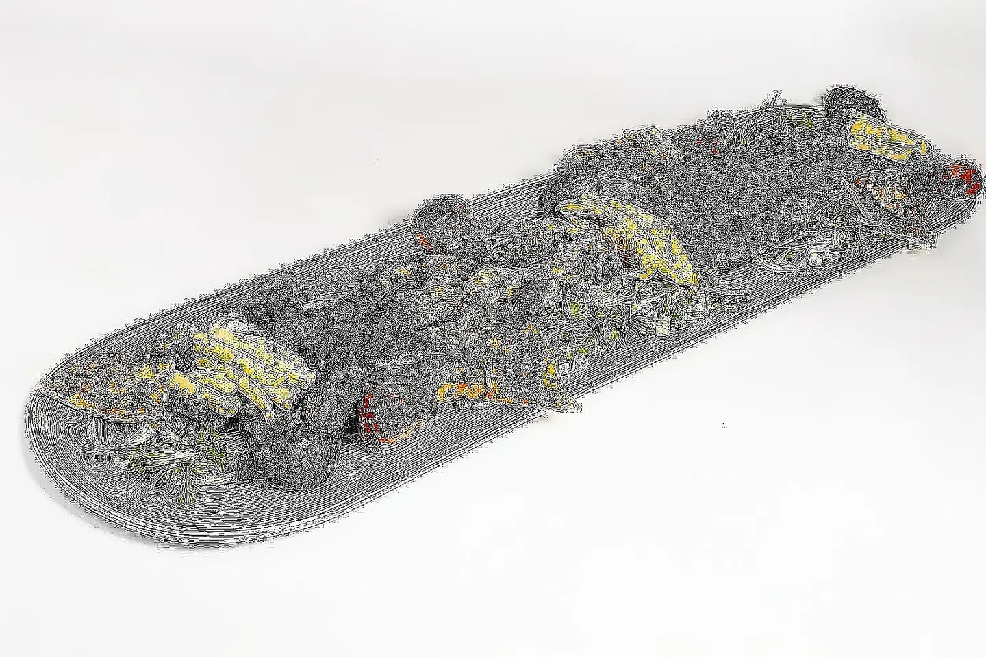 مشكل مشاوي العائلي