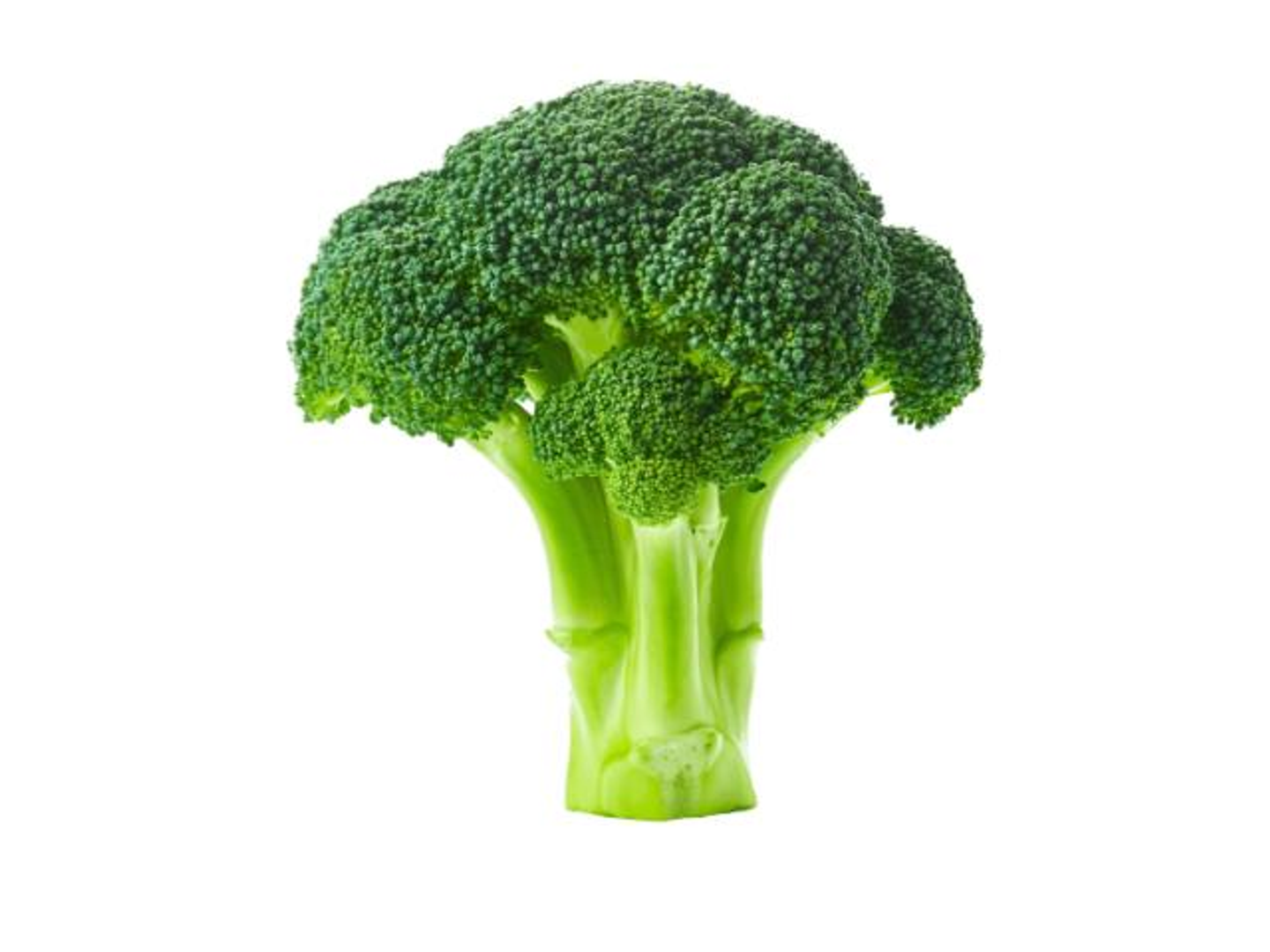 Broccoli