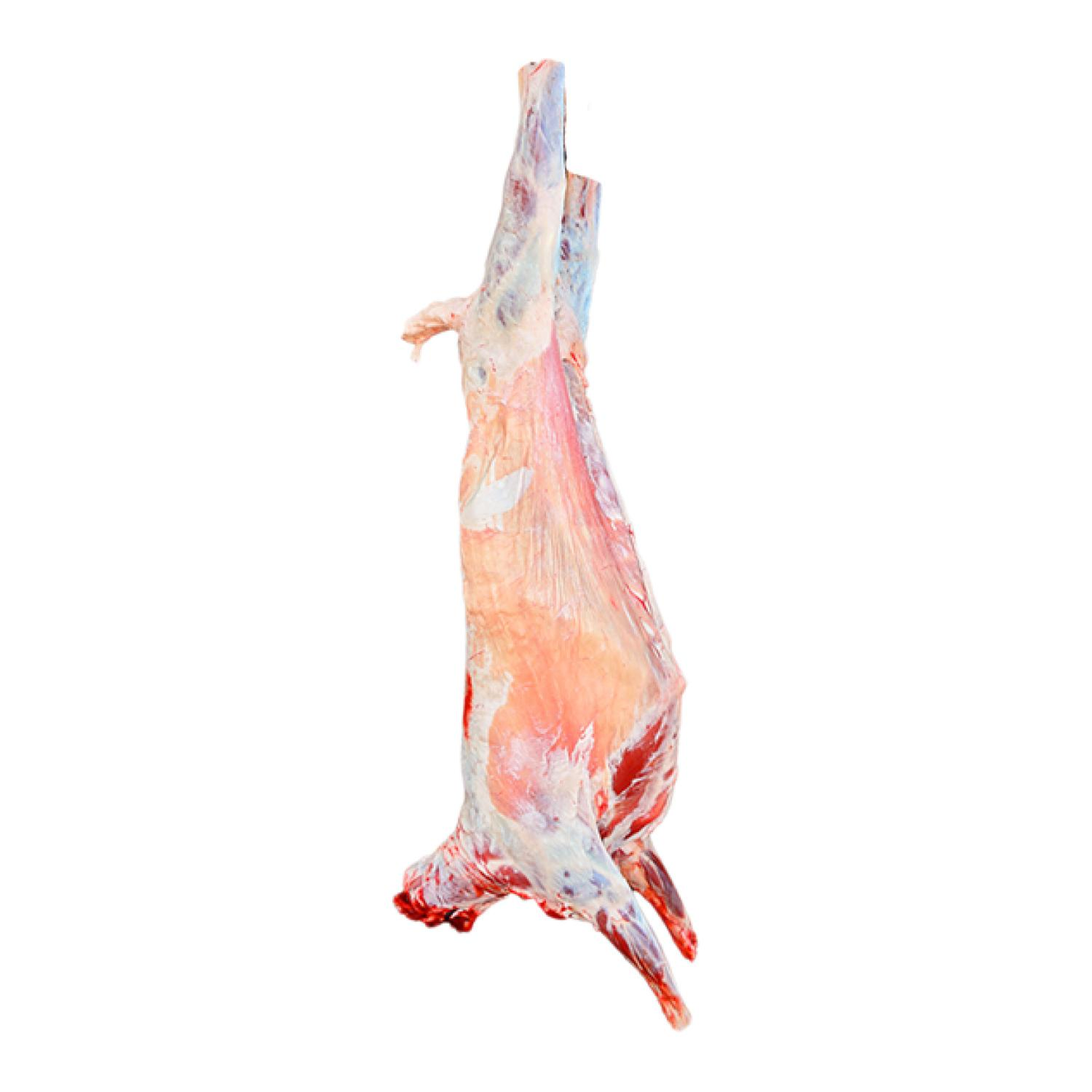 Spanish Whole Lamb 14kg To 17kg