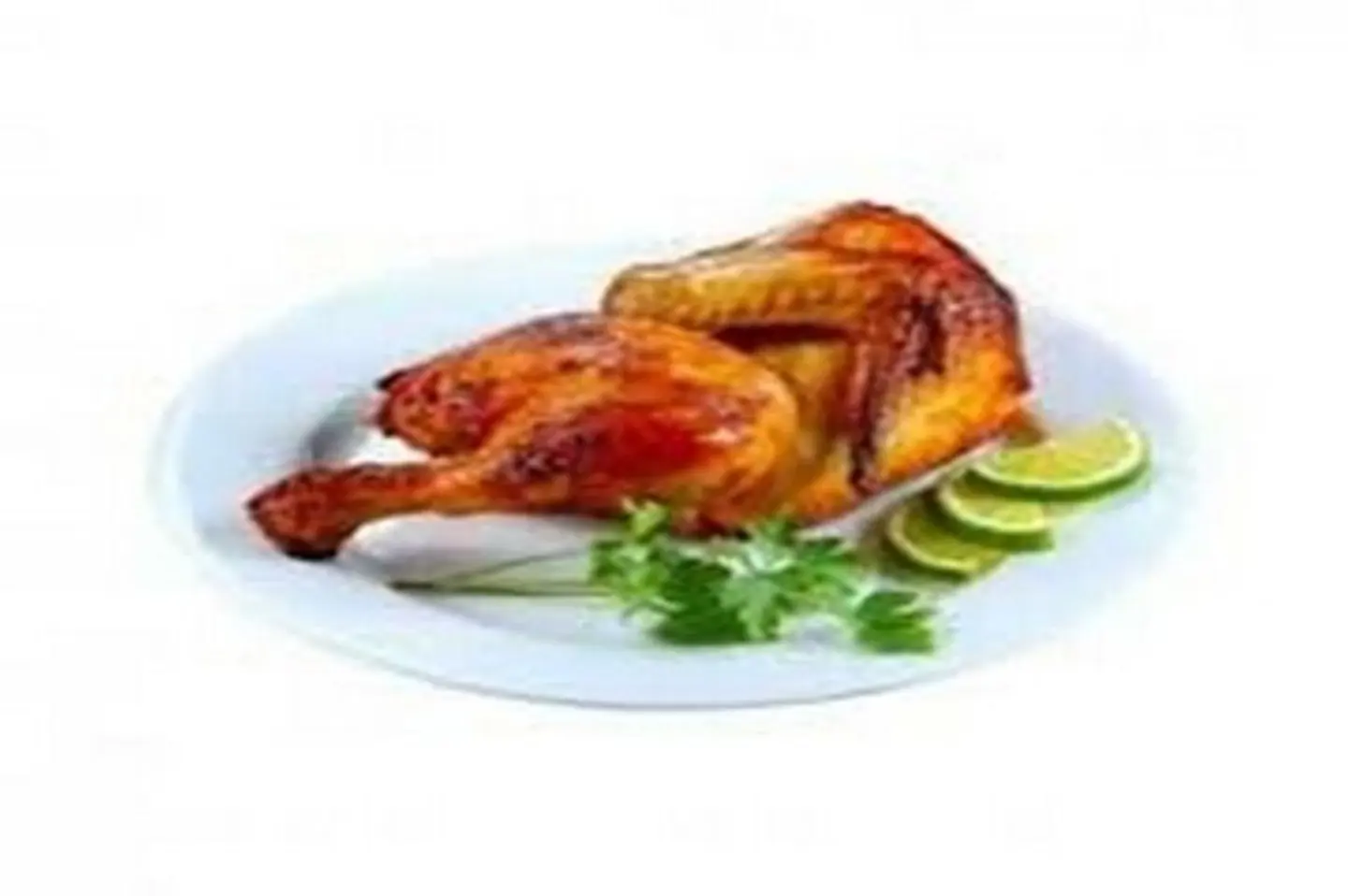 One Piece Of Plain Grilled Chicken