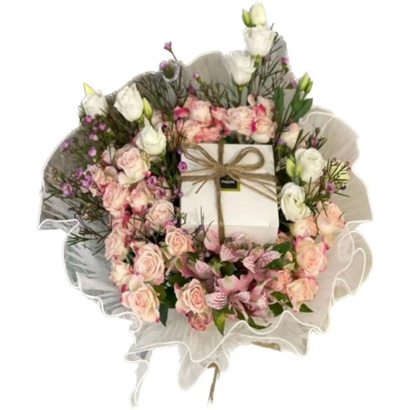 Baby Rose With C4 Chocolate