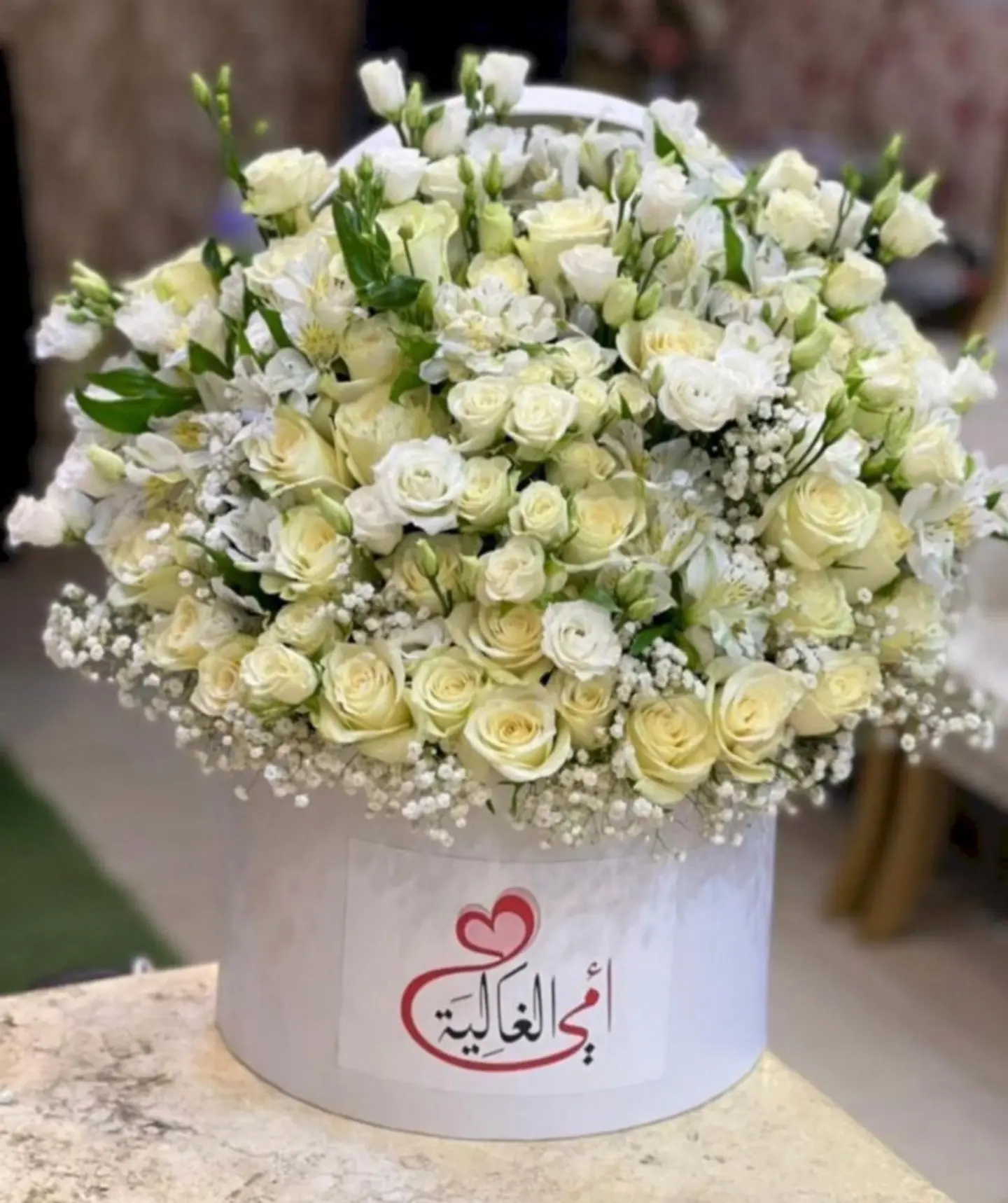 أمي خير جليس