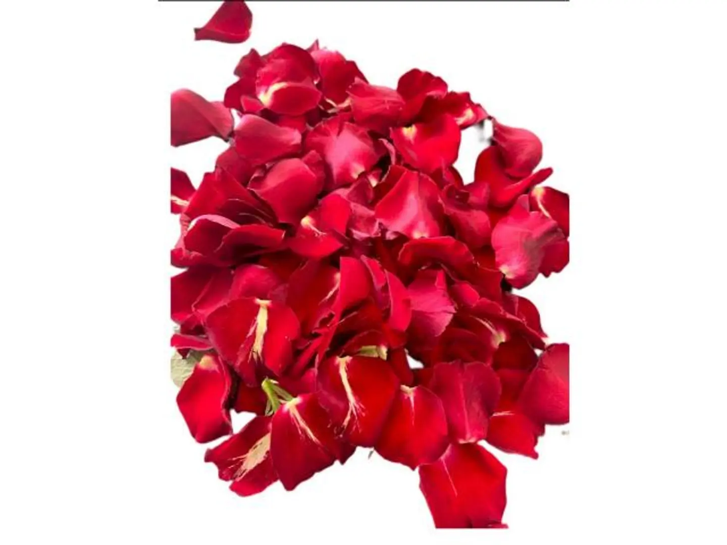 Red Petals