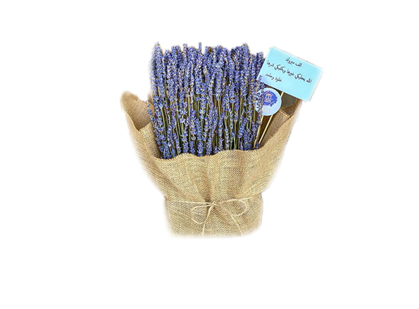 Natural Lavender Plant