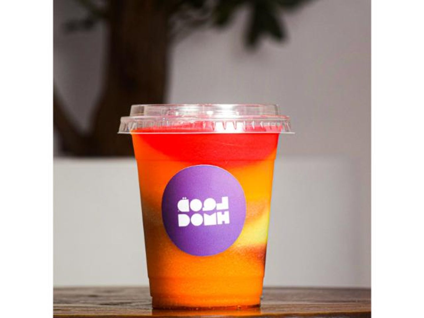 شورتي 16 oz