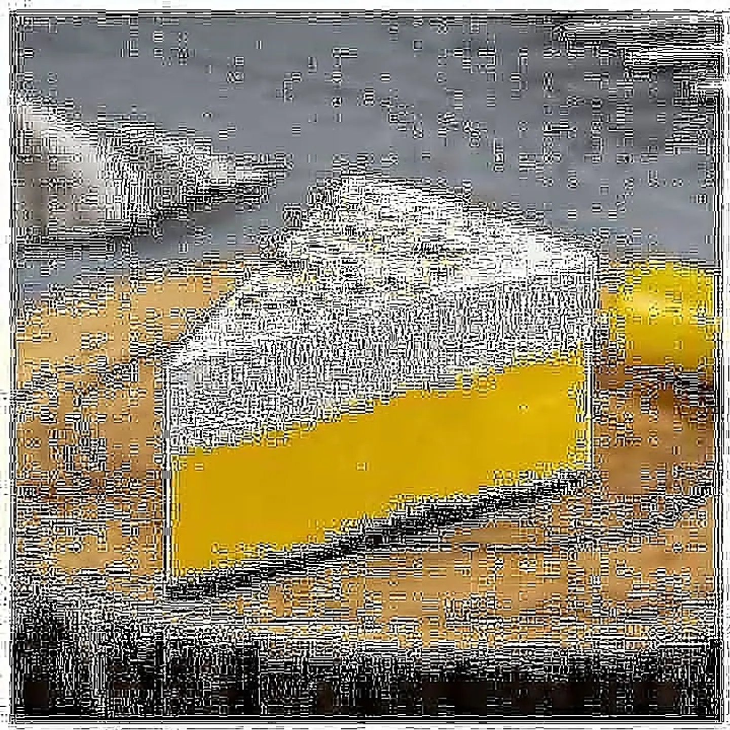 Saffron Cheesecake