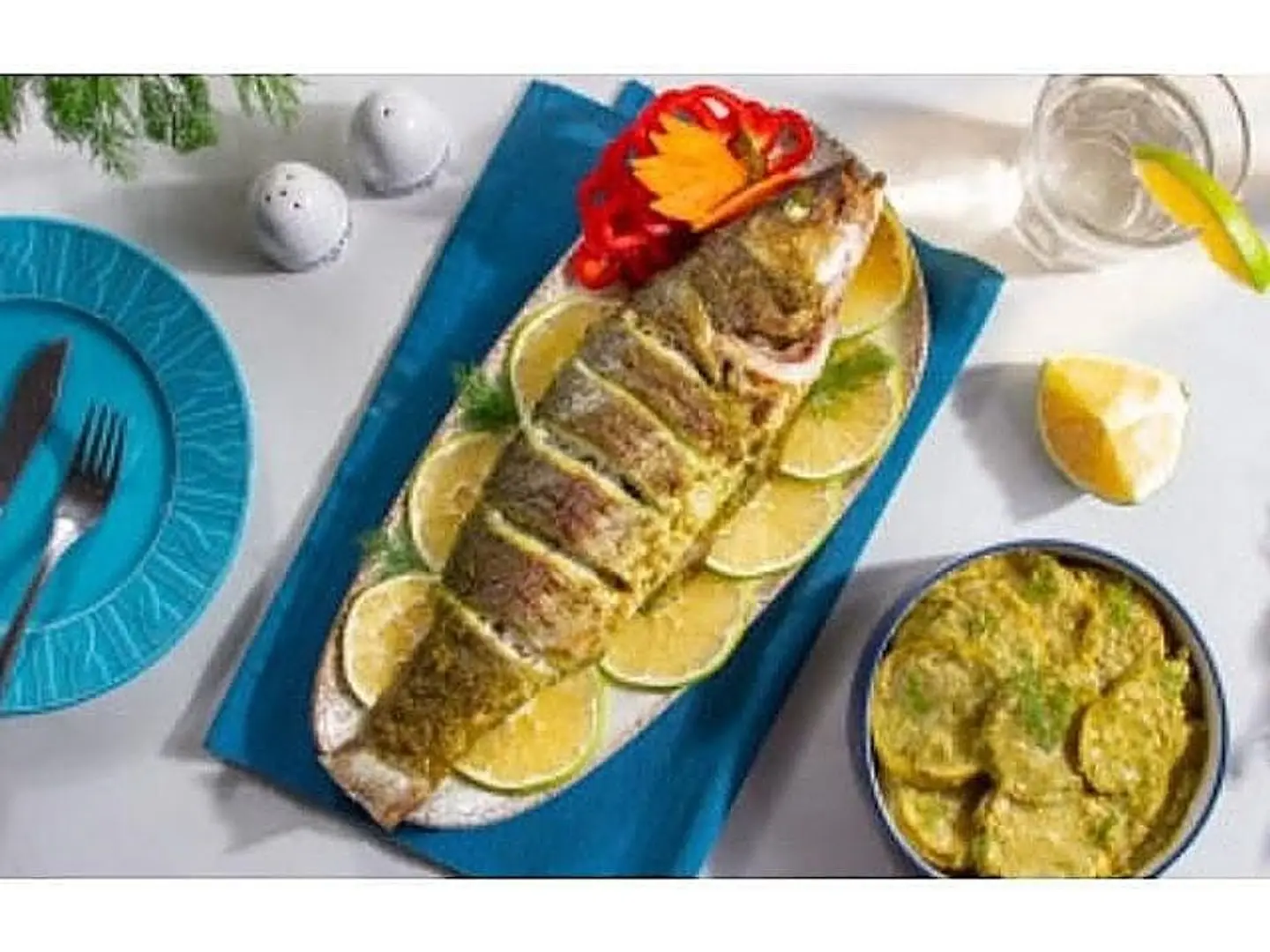 Grouper Kilo