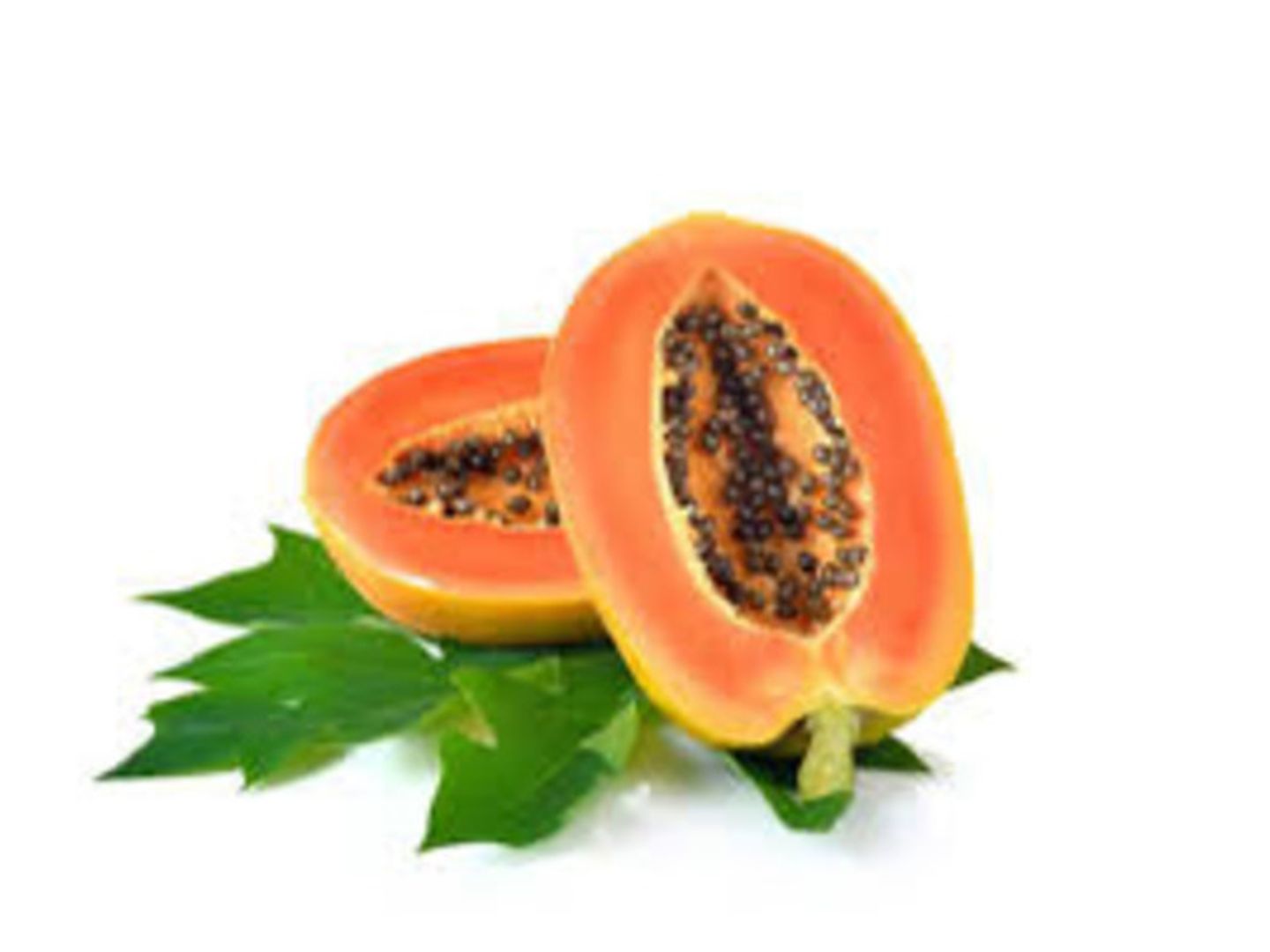 بابايا 1 حبة