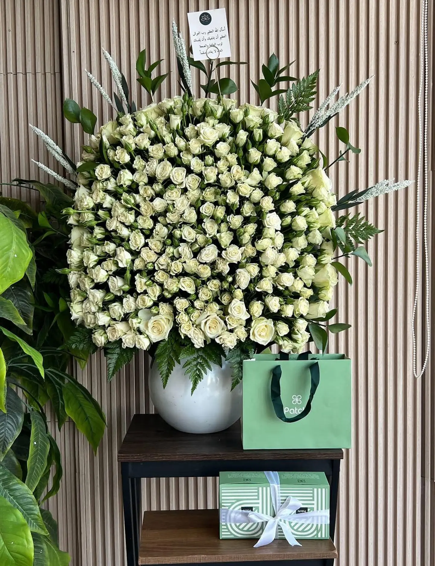 فازه عملاقه مع الحلا من باتشي ٦