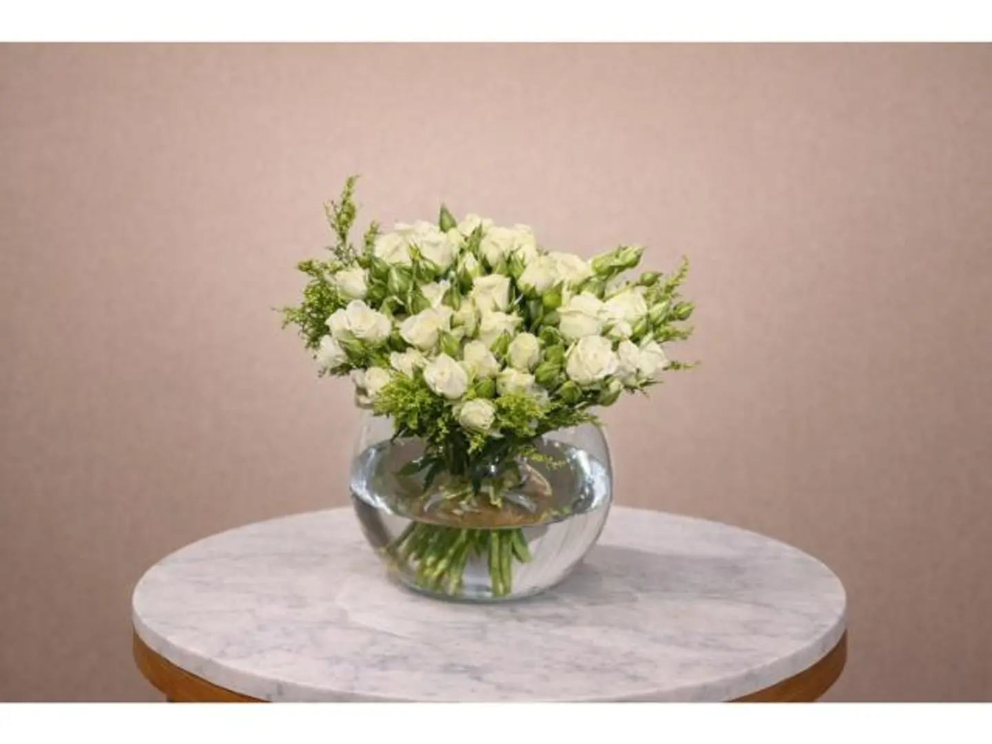 فازة السلامة 2