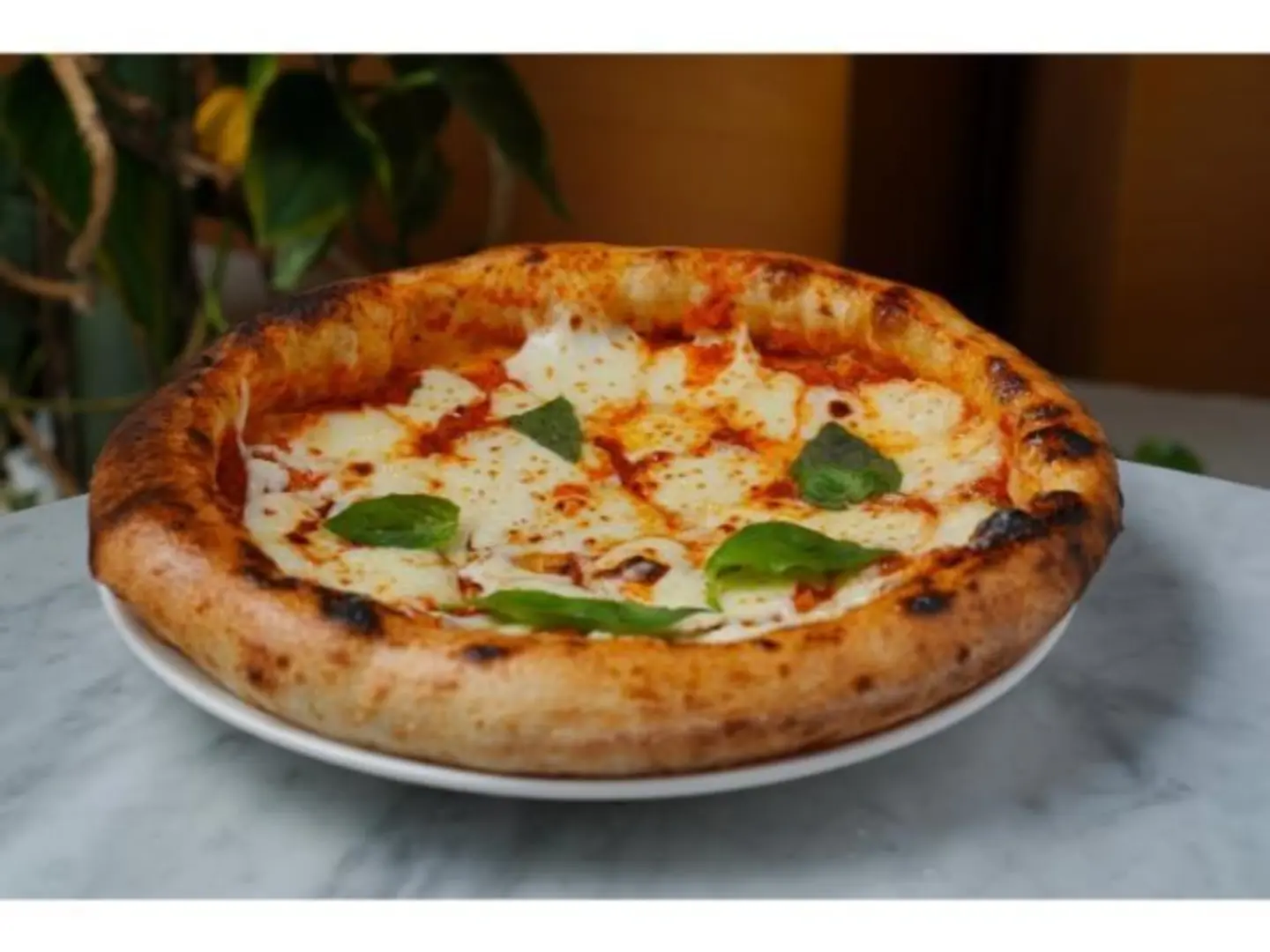 Neapolitan Margherita Pizza