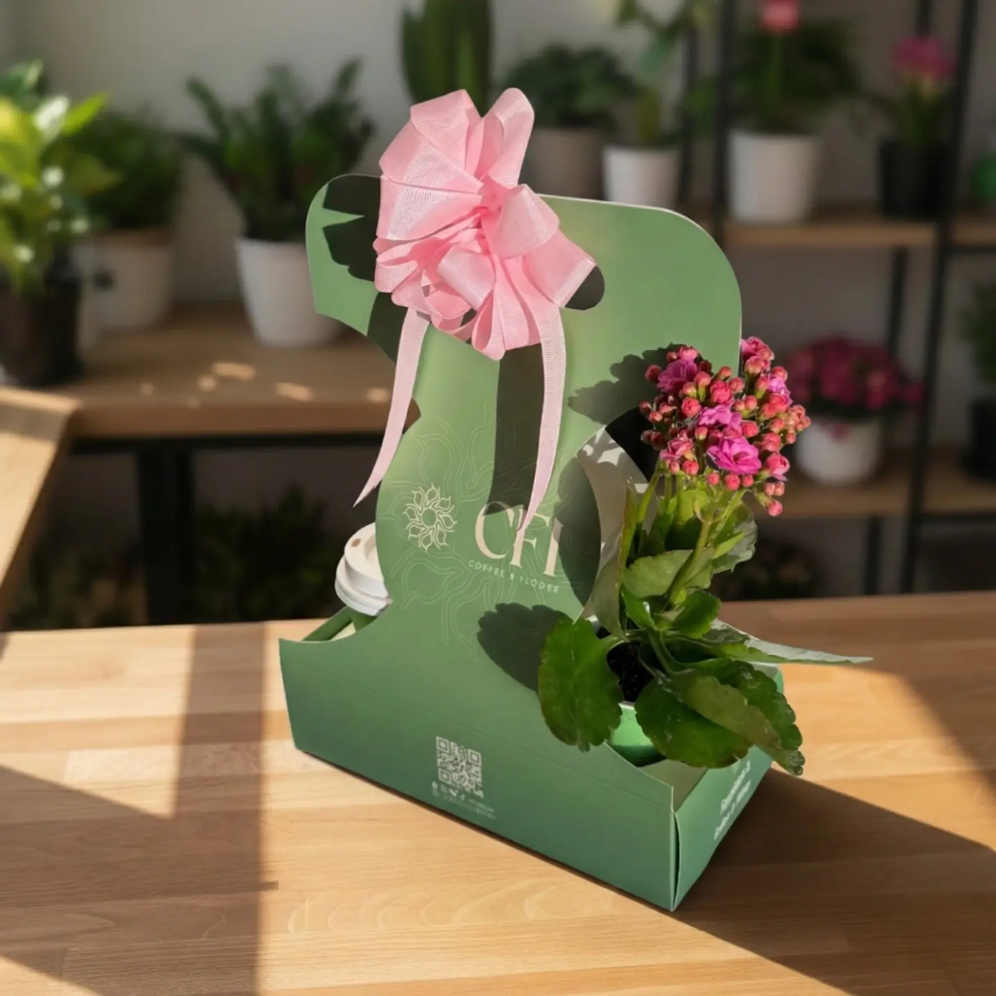 نبتة الكالانشو وردية و قهوة