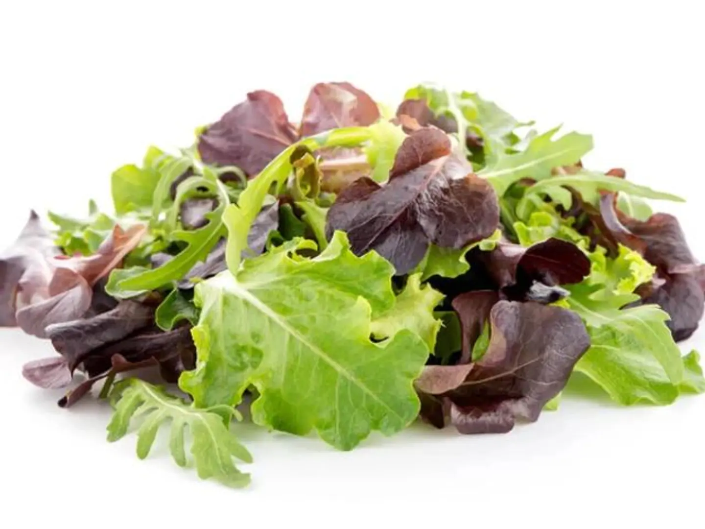 Baby Mix Gem Holland