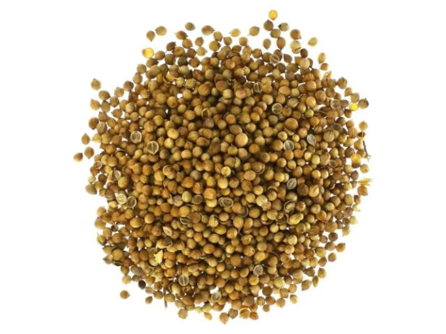 Coriander Seeds 250g