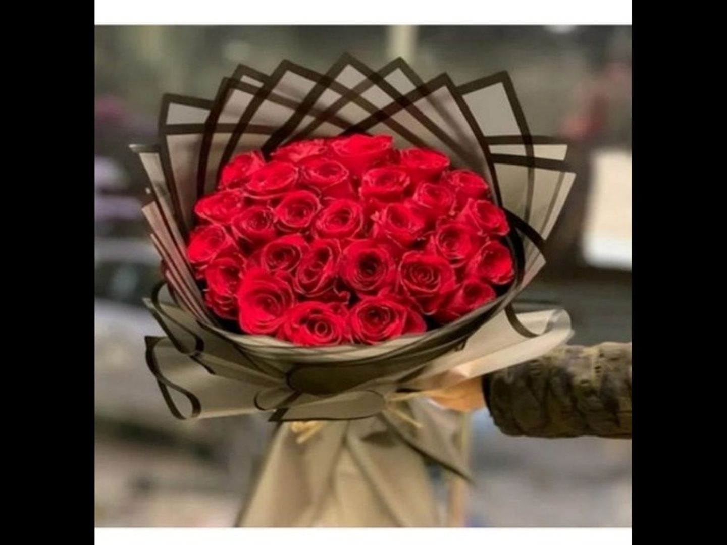 نستانس