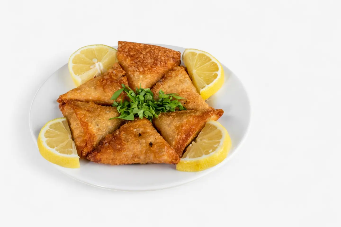 Beef Samosa