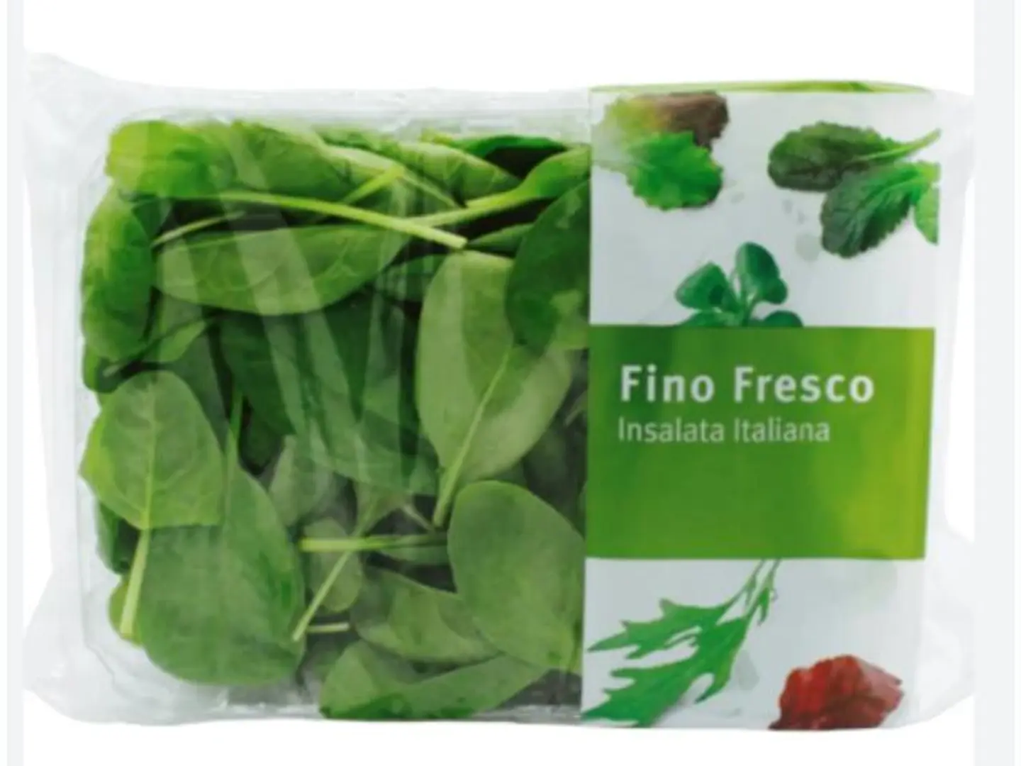 Baby Spinich Holland