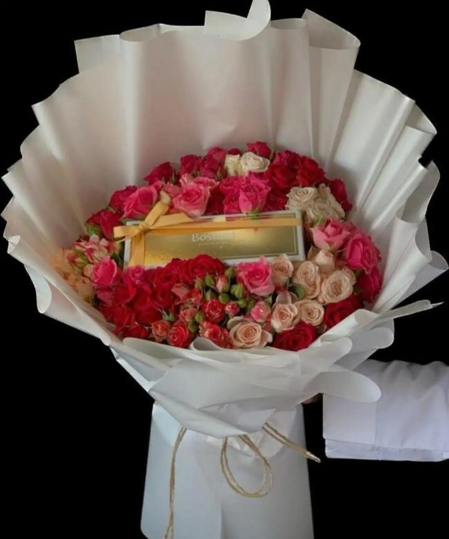 باقة اكسبلور