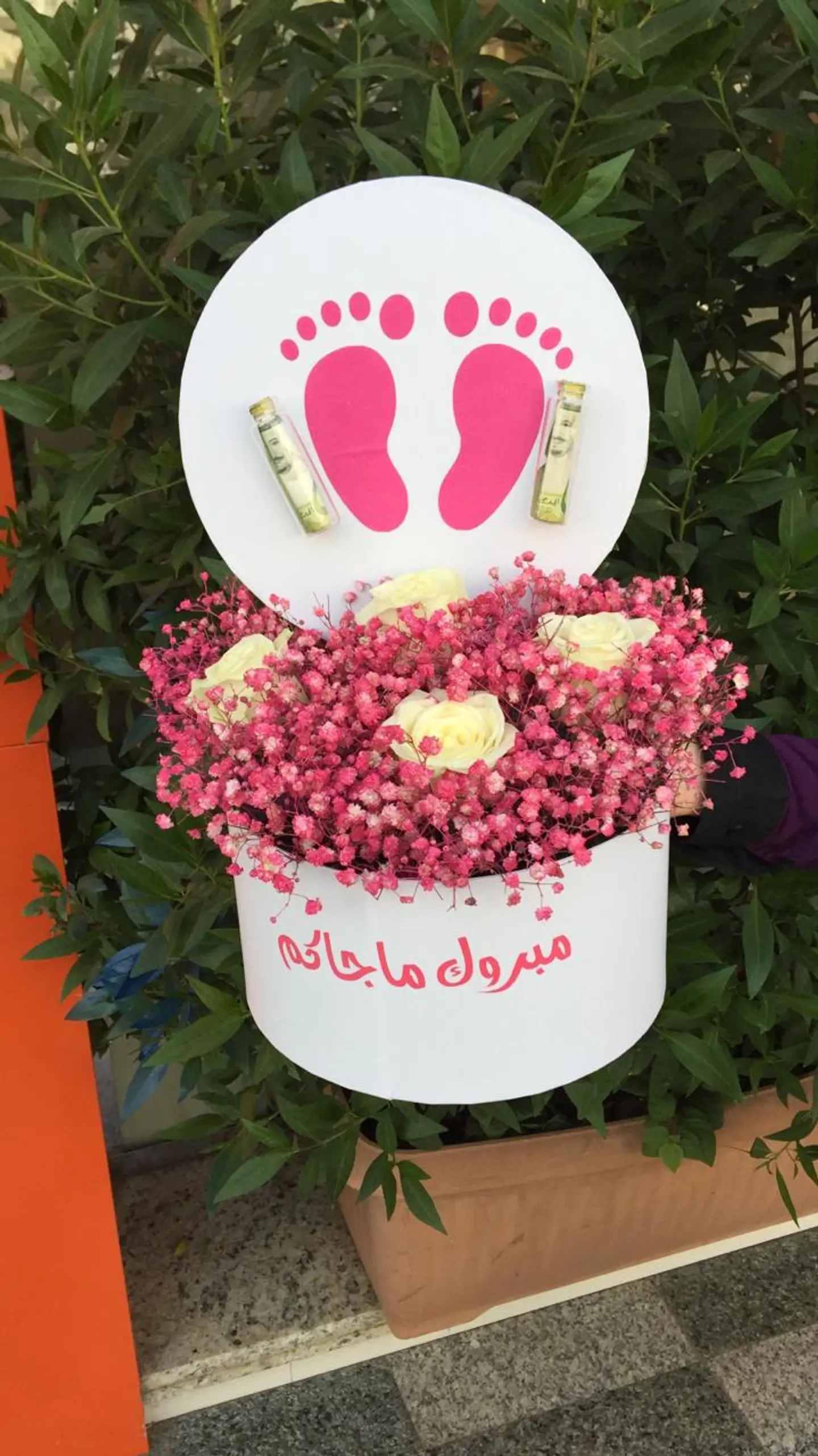 Newborn Box, Congratulations, You Can Choose A Boy Or A Girl
