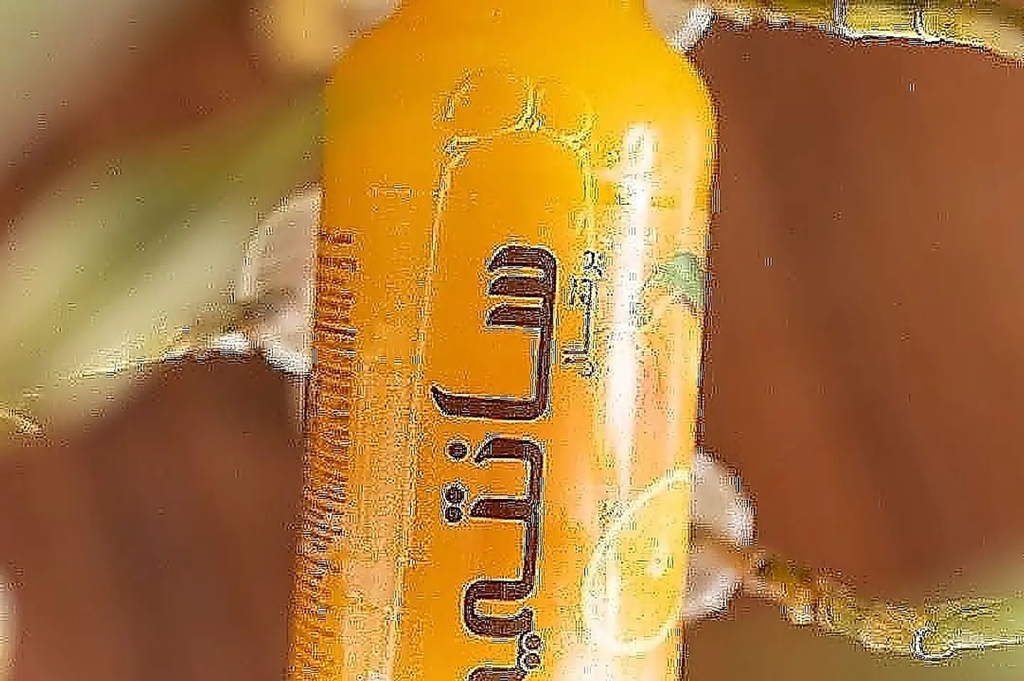 سانتي برتقال