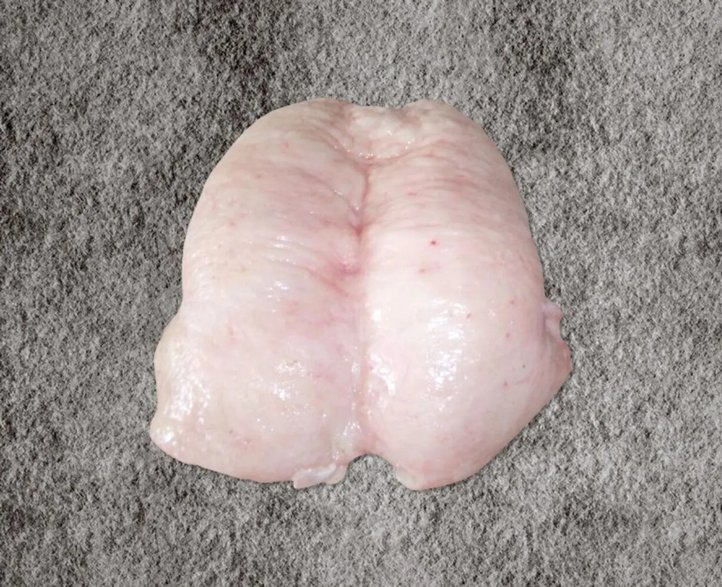 Harri Tail Fat