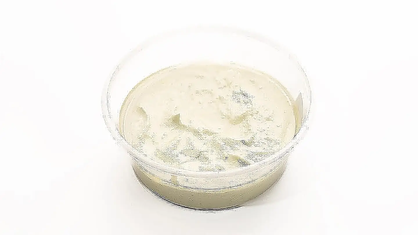 Labneh