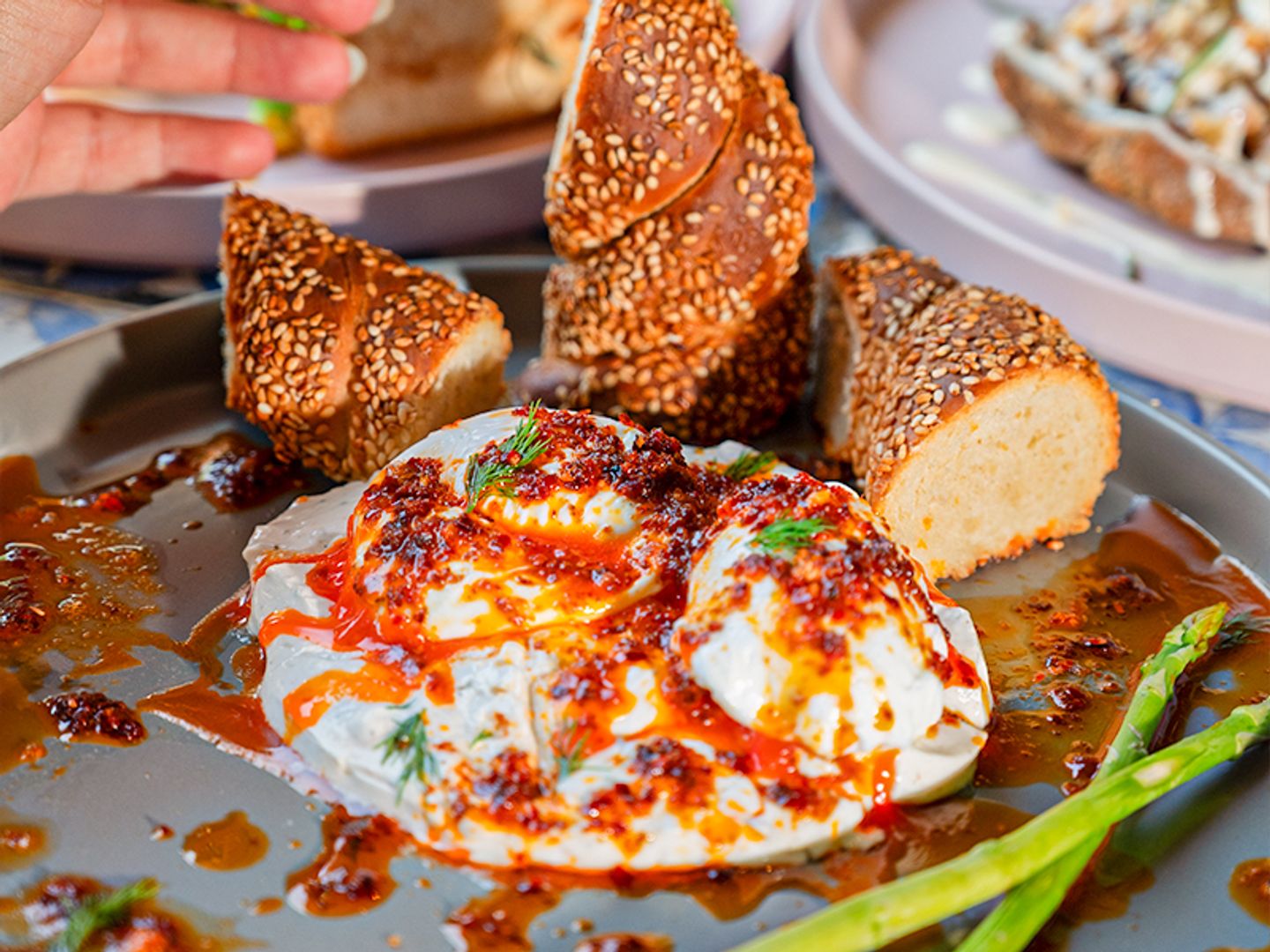 Mystic Meadow Turkish Eggs
