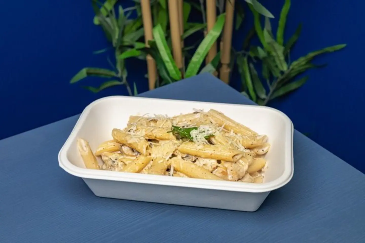 Alfredo Pasta