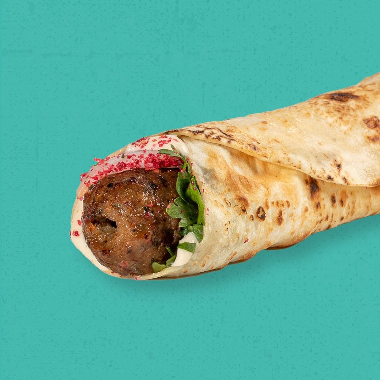 Meat Kebab Sandwich