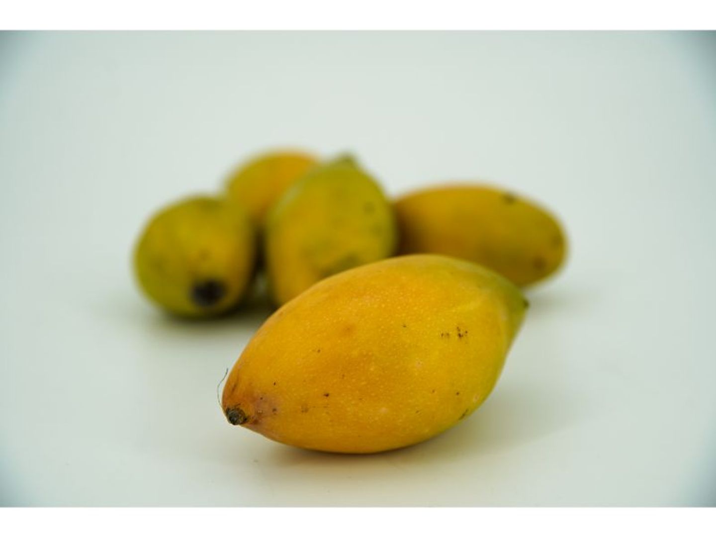 ‏صحن مانجا