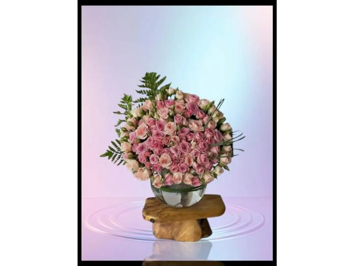 فازه الصفاء