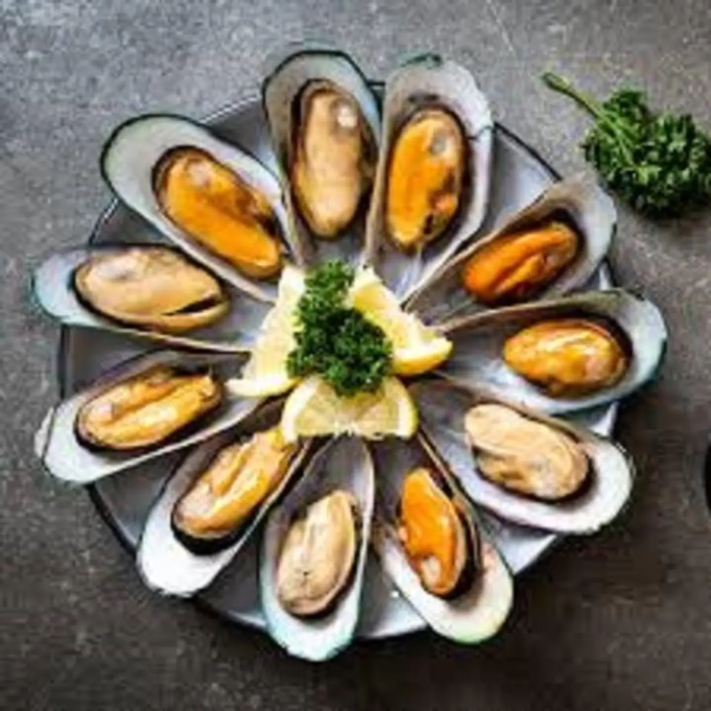 Mussels And Oysters