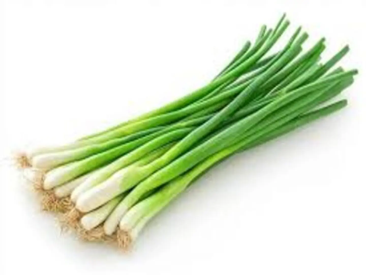 بصل أخضر