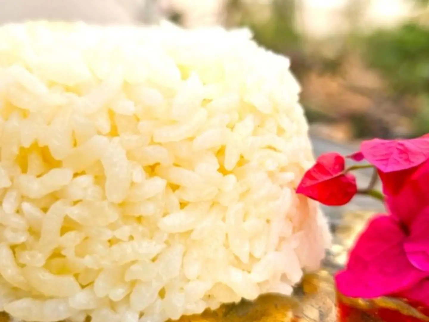White Rice