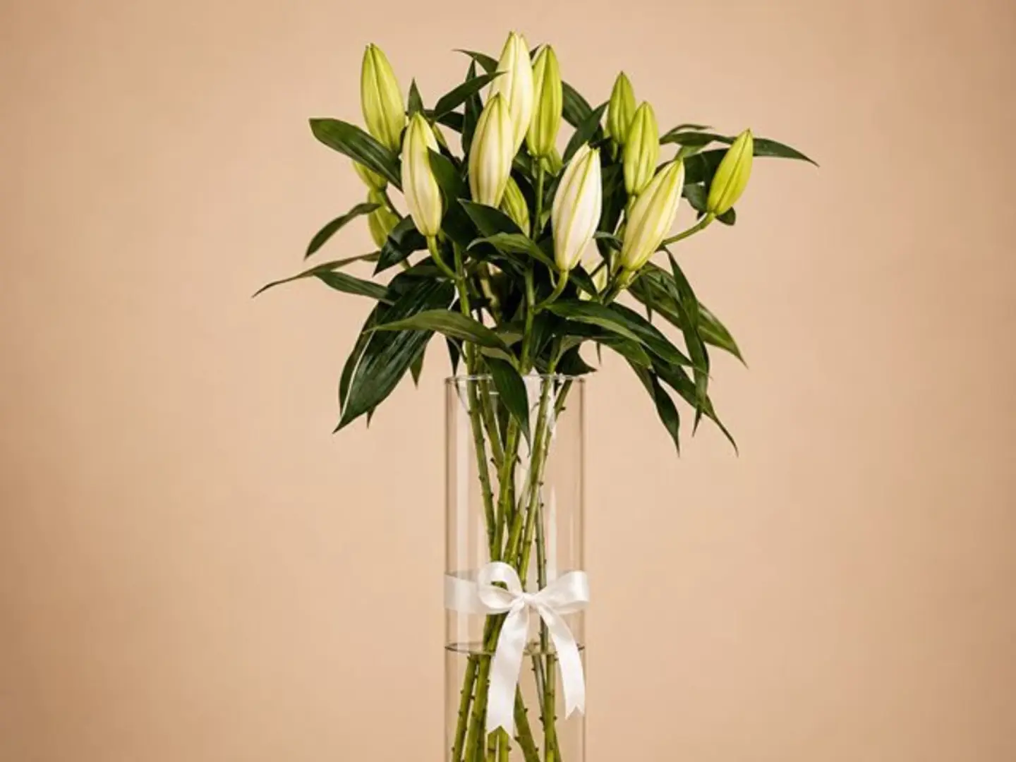 White Casablanca Magic Vase